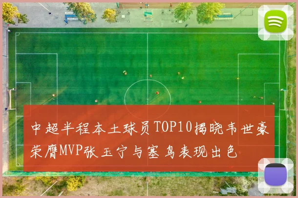 中超半程本土球员TOP10揭晓韦世豪荣膺MVP张玉宁与塞鸟表现出色