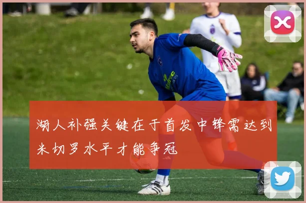 湖人补强关键在于首发中锋需达到米切罗水平才能争冠